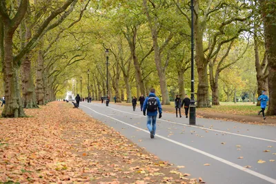 DSC_0601 (Large).JPG